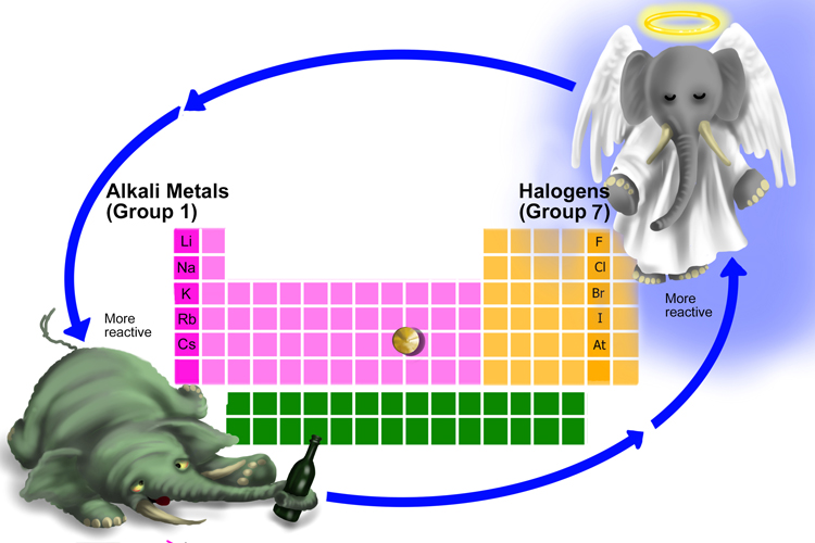 In the halogen group the more reactive elements are at the top where in alkaline metals group are displayed at the bottom